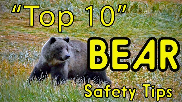 VIDEO: Bear Safety