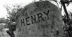 VIDEO: Regarding Henry
