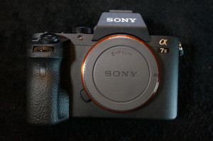 Sony's A7ii now delivers IN BODY image stabilization. And there was much rejoicing!